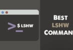 $ lshw