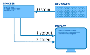 Stdin linux что это