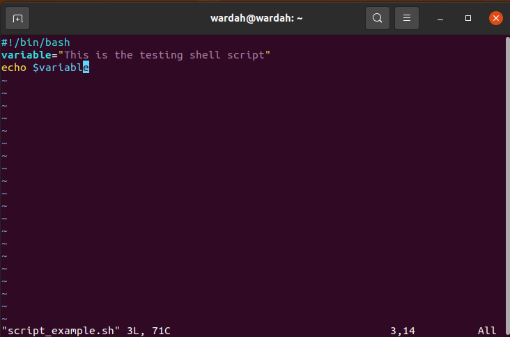 linux shell script to open in terminal
