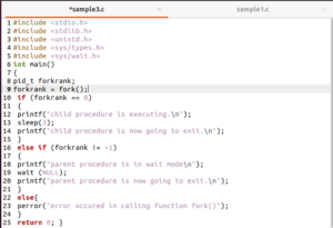 Coding with fork and exec by example in c