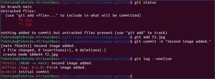 learn-git-basics