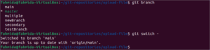 terminal git switch branch
