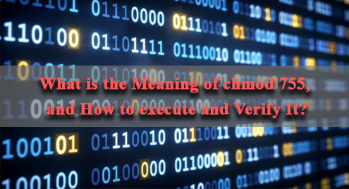 What Is The Meaning Of Chmod 755 And How To Execute And Verify It