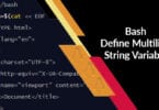 Bash Define Multiline String Variable