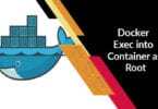 Docker Exec into Container as Root