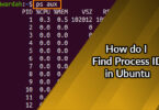 How do I Find Process ID in Ubuntu