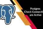 Postgres Check Connections are Active