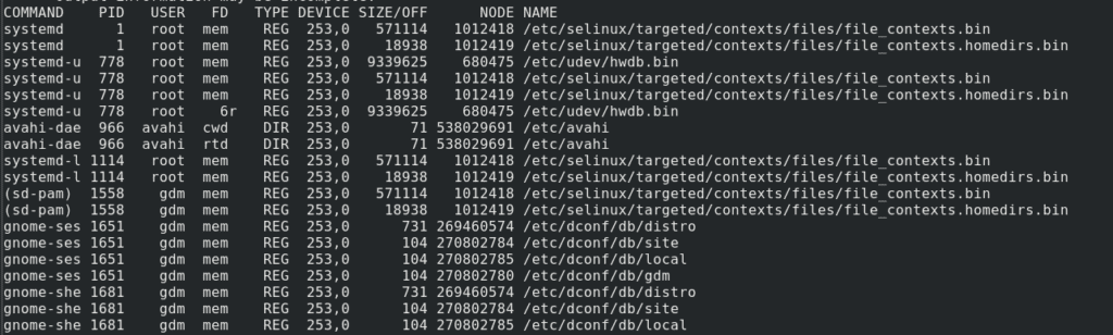 How to Check Open Files in Linux