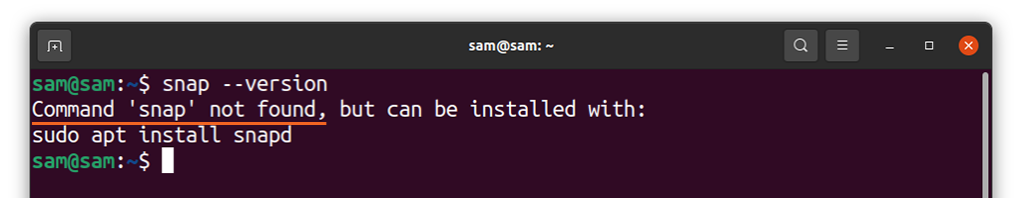 notepad++ ubuntu install without snap