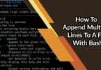 How To Append Multiple Lines To A File With Bash