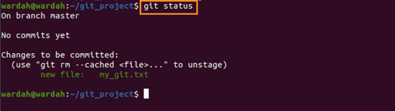 git change branch and reset files