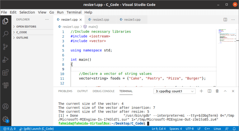 Vector Resize() Function in C++