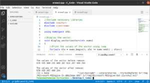 Vector Erase() Function in C++