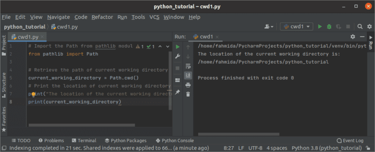 python runner get current directory