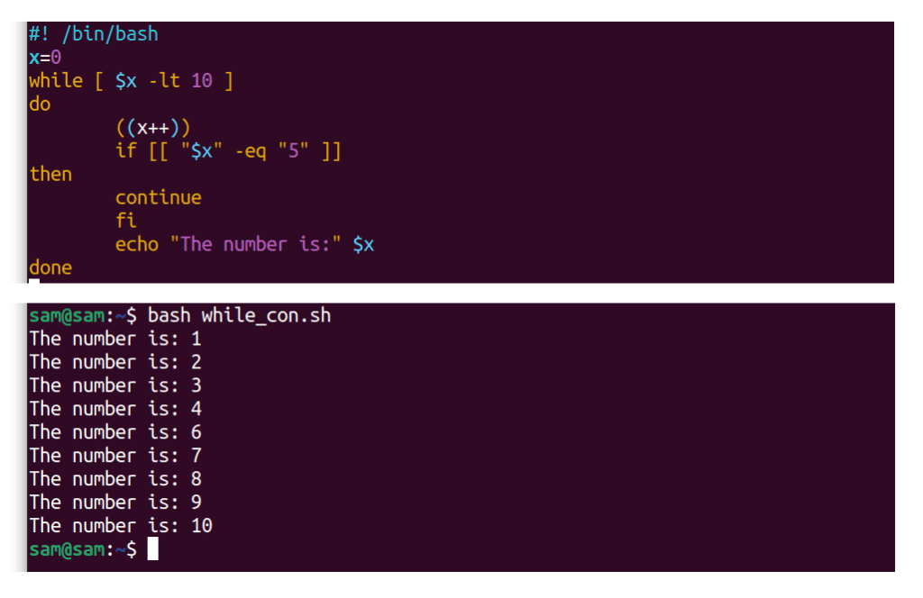 Full Guide to Bash Loops