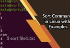 Sort Command in Linux with Examples