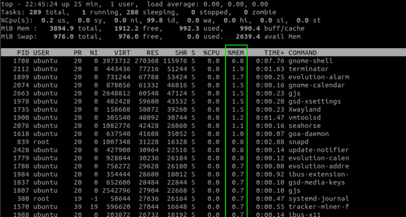 How to Make Top Command Sort by Memory Usage