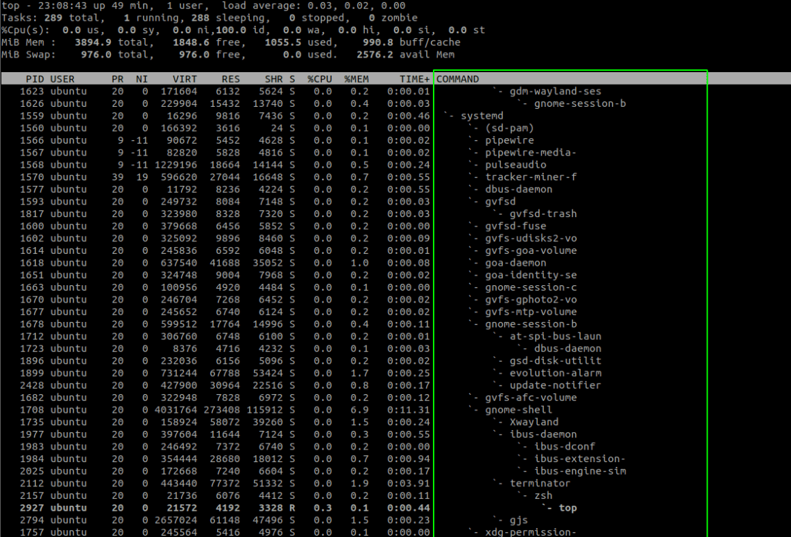 How to Make Top Command Sort by Memory Usage – Linux Hint