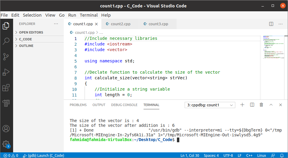 Count The Size Of The Vector In C 