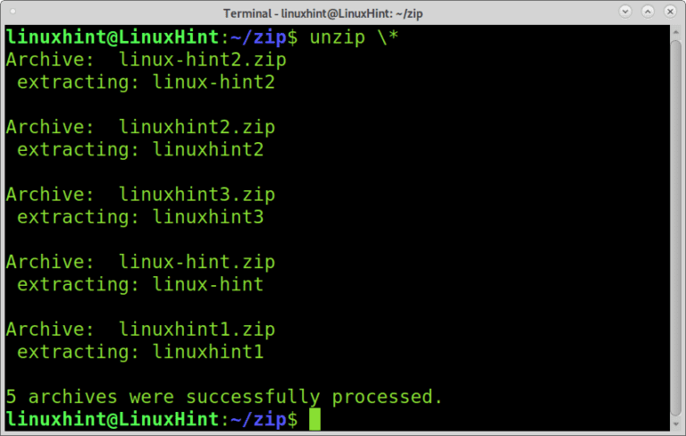 unzip zip file linux
