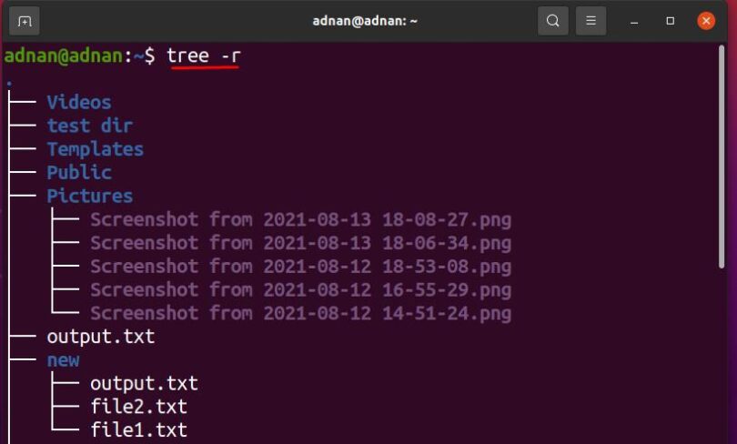 What is Tree Command in Ubuntu