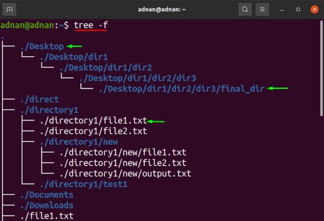 What is Tree Command in Ubuntu