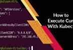 How to Execute Curl With Kubectl