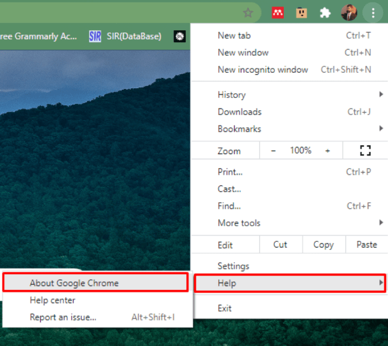 How to Reduce Chrome Memory Usage