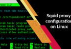 Squid proxy configuration on Linux