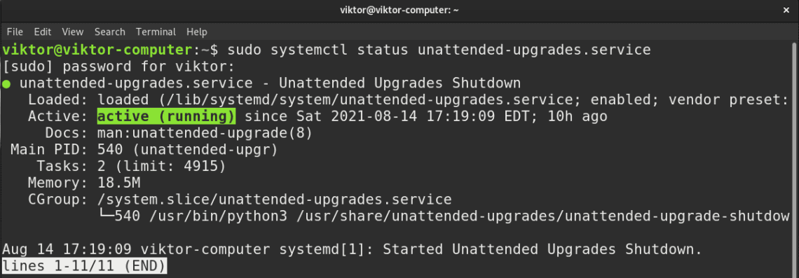 How To Update Debian From Terminal