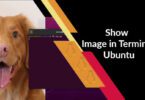 Show Image in Terminal Ubuntu