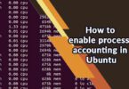 How to enable process accounting in Ubuntu