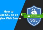 How to use SSL on an Nginx Web Server