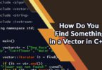 How Do You Find Something in a Vector in C++?