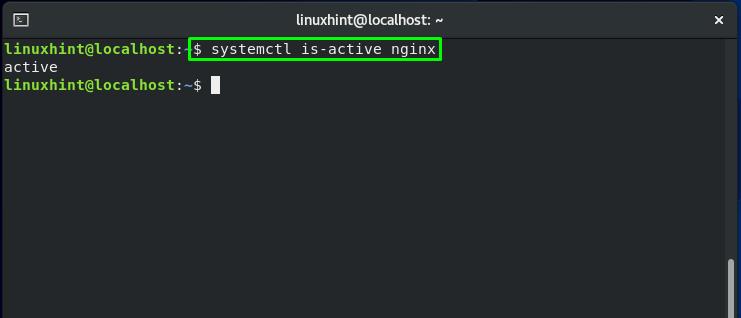 how-do-i-check-nginx-status