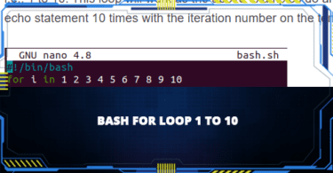 Bash For Loop 1 To 10