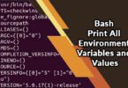 Bash Print All Environment Variables and Values