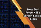 How Do I Force Kill a Screen Session Linux