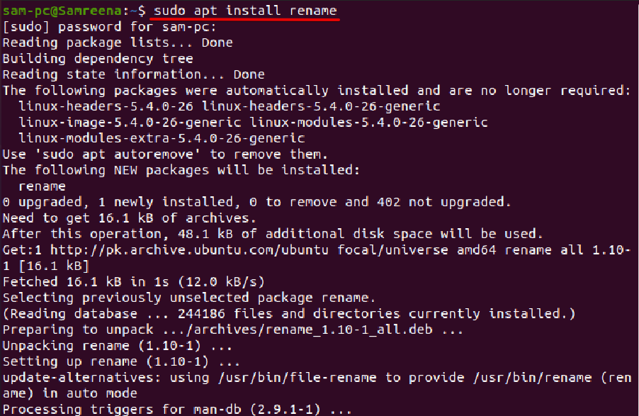 How Do I Rename A File In The Ubuntu Terminal?