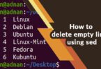 How to delete empty lines using sed