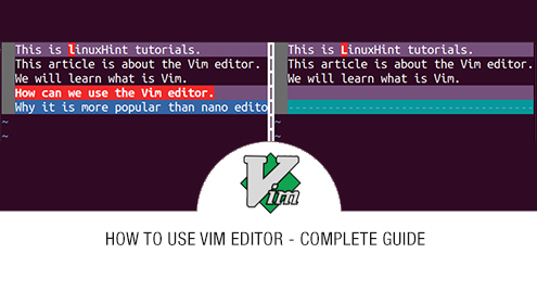 Vim vs Nano: What Should You Choose?