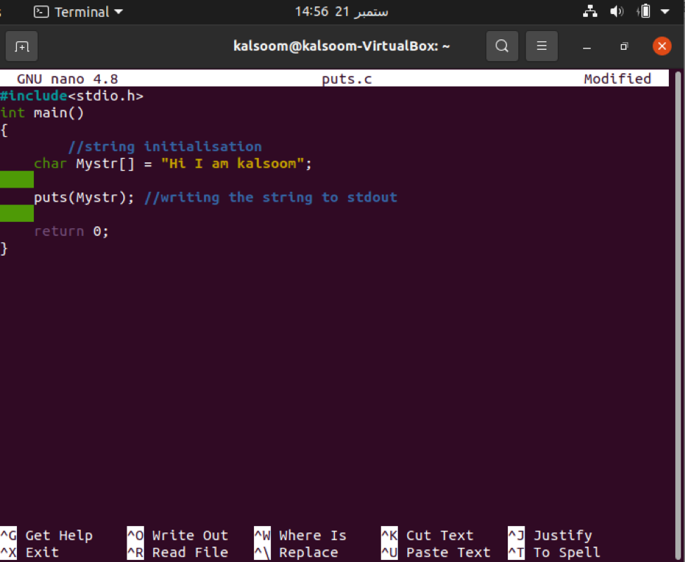 Puts Function In C