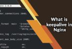 What is keepalive in Nginx