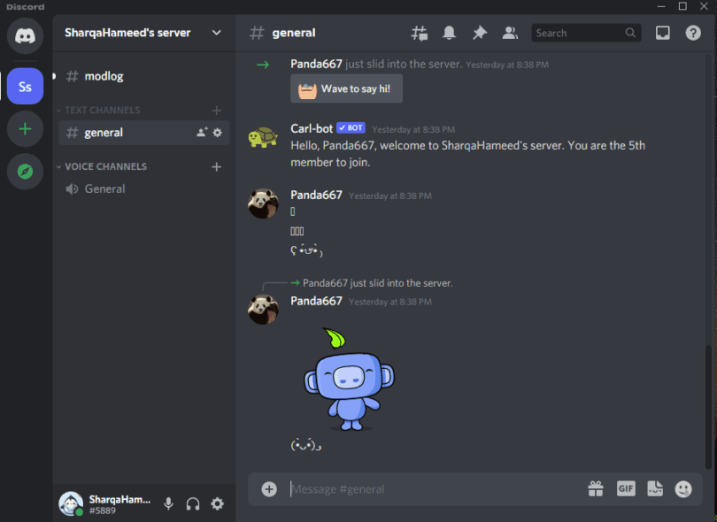 Discord Text Formatting Size