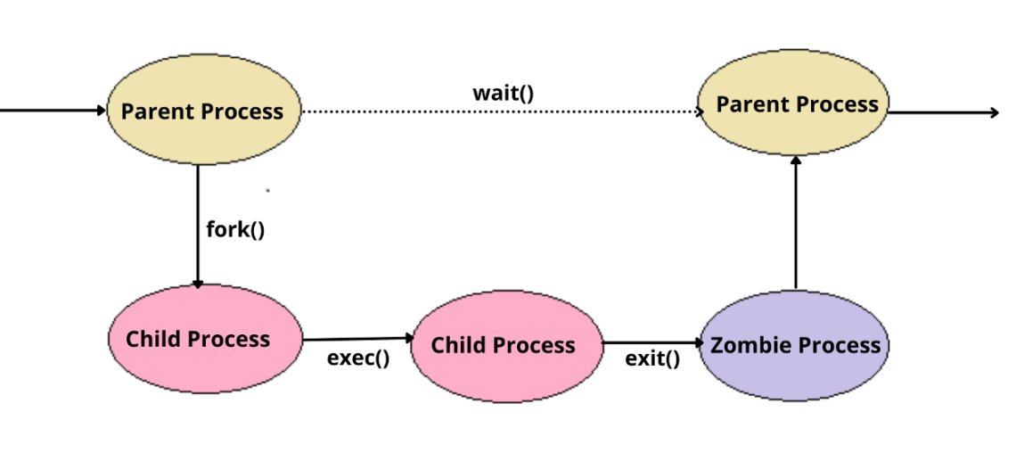 Linux process 0