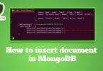 How to insert document in MongoDB