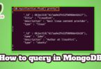 How to query in MongoDB