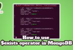 How to use $exists operator in MongoDB