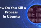 How Do You Kill a Process In Ubuntu Terminal?