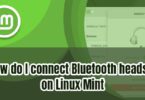 How do I connect Bluetooth headset on Linux Mint